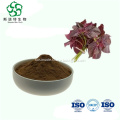 /msite/products/detail/productid/62900473/id/1511203.html